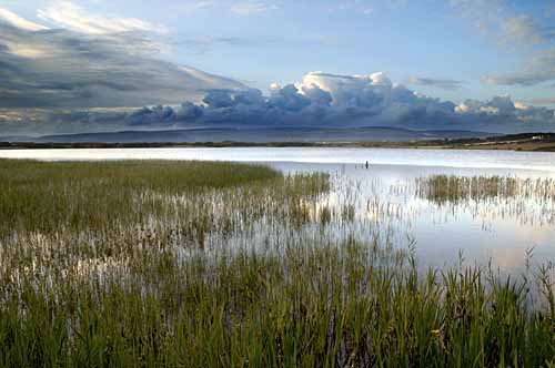 Wetland, Kenfig ©Photolibrary Wales